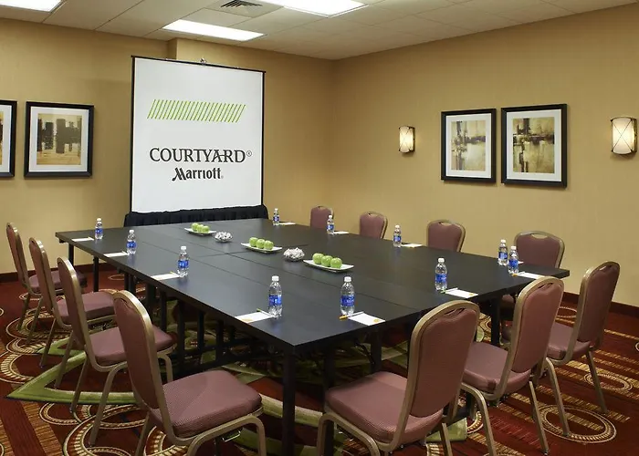 Hotel Courtyard By Marriott Downtown/river North