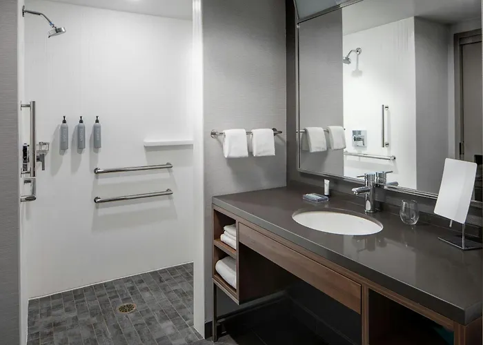 Hotel Courtyard By Marriott Downtown/river North Chicago
