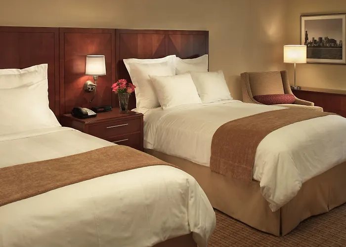 Hotel Courtyard By Marriott Downtown/river North Chicago