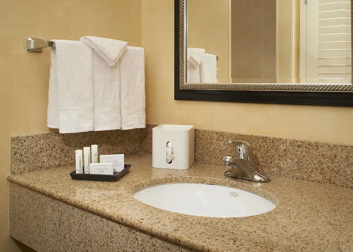 Hotel Courtyard By Marriott Downtown/river North