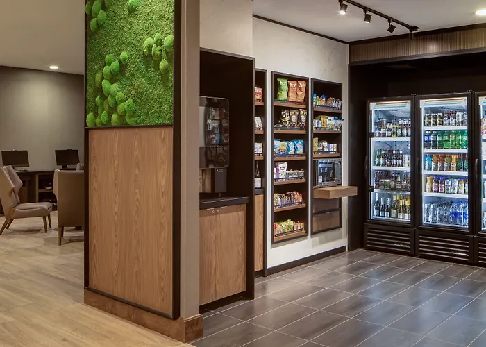 Hotel Courtyard By Marriott Downtown/river North 3*