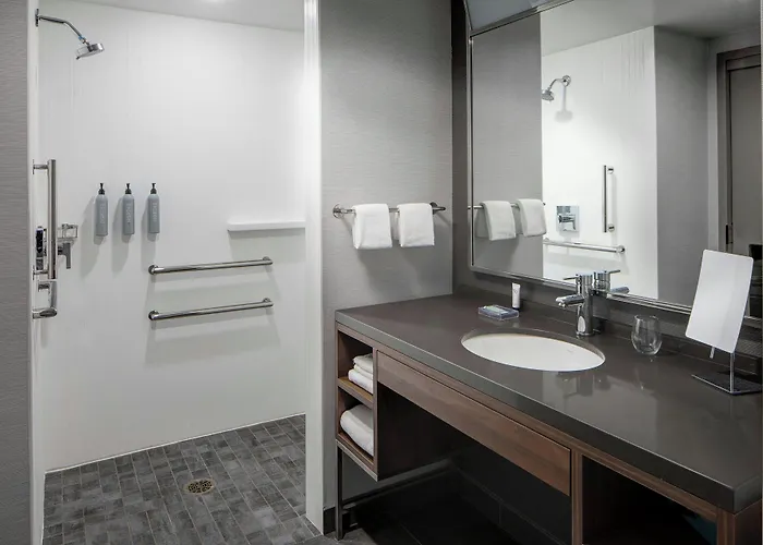 Hotel Courtyard By Marriott Downtown/river North Chicago