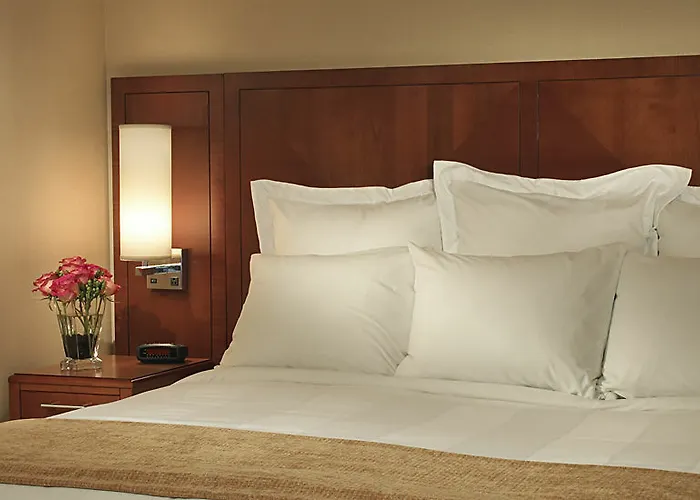 Hotel Courtyard By Marriott Downtown/river North Chicago