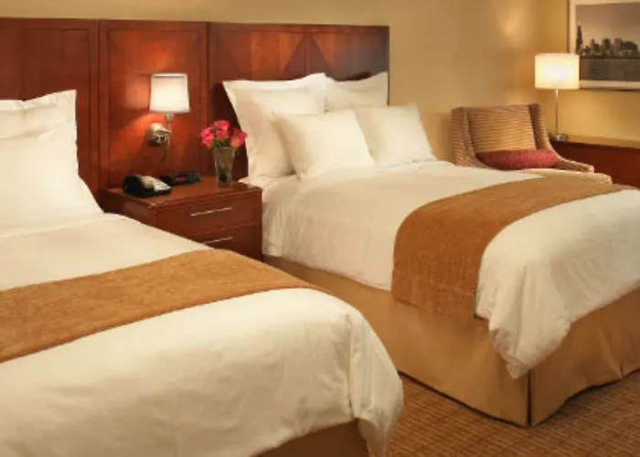 Courtyard By Marriott Downtown/river North Hotel 3*